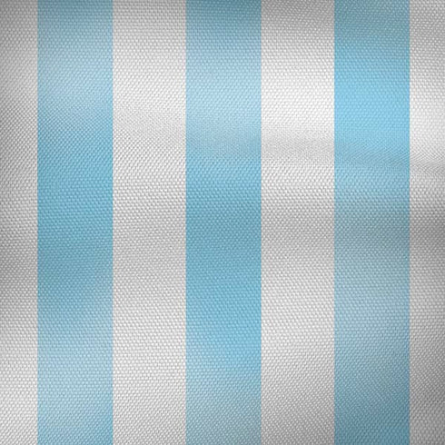 Argentina Soccer Flag iPhone X Pro Case